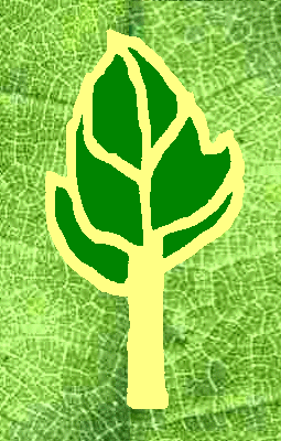 leaf